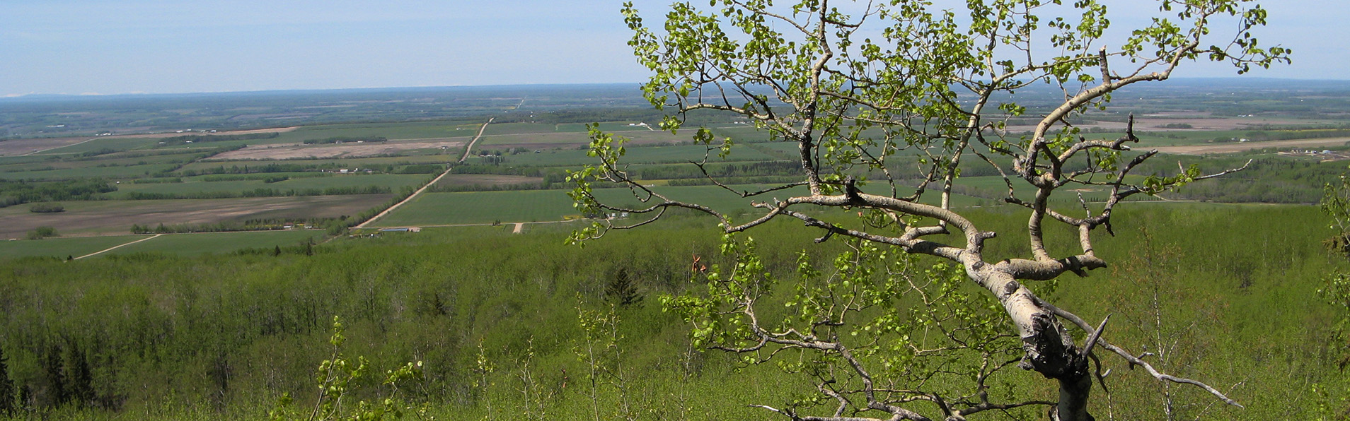 Alberta Parks