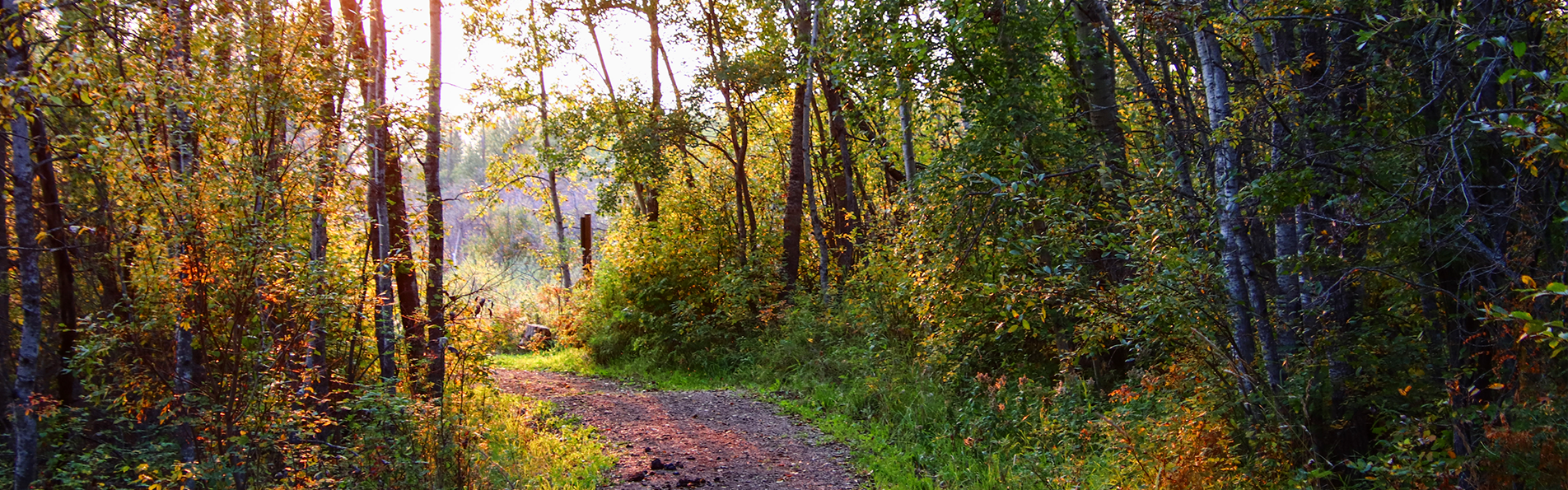 Alberta Parks