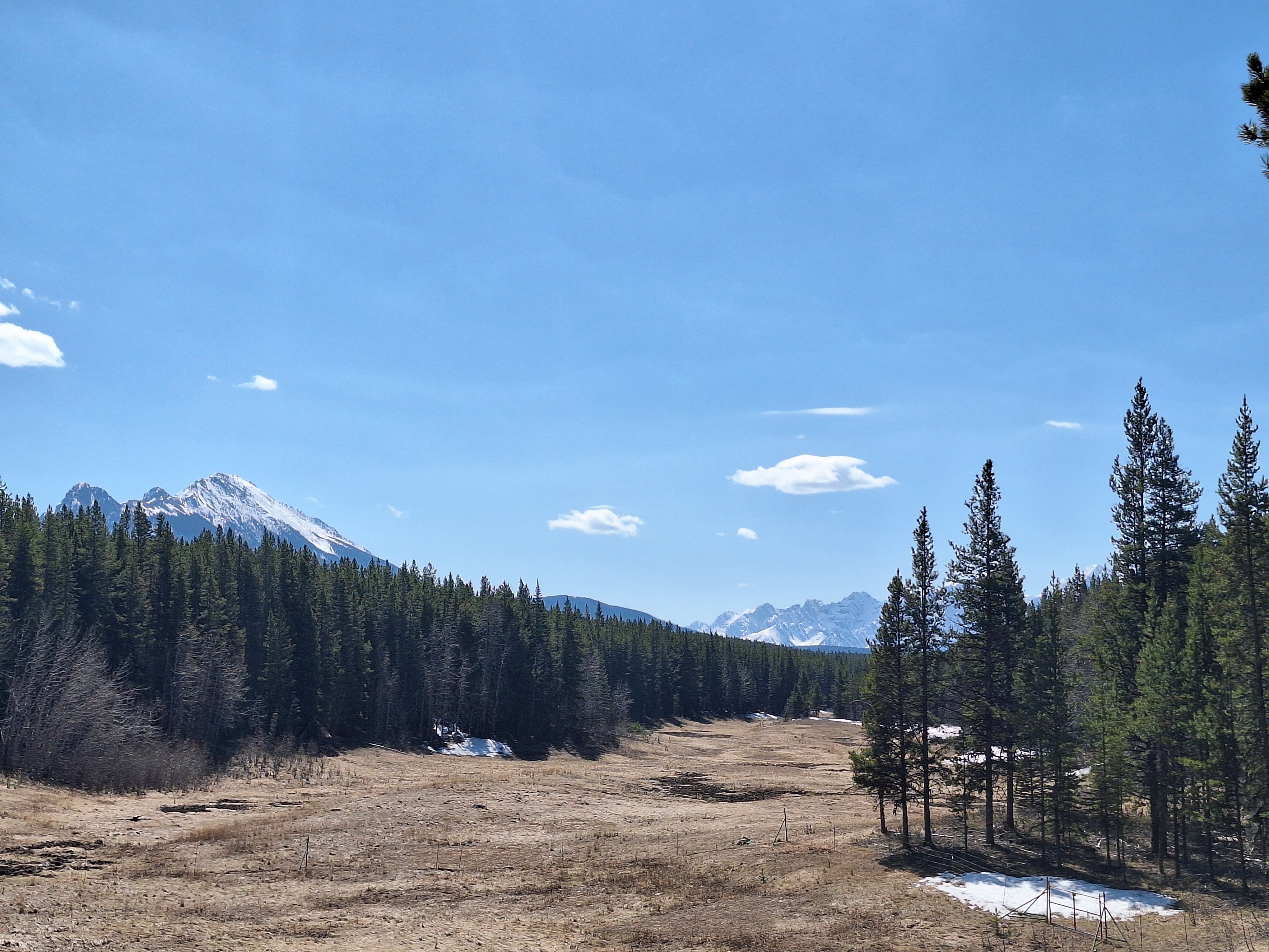 Peter Lougheed
