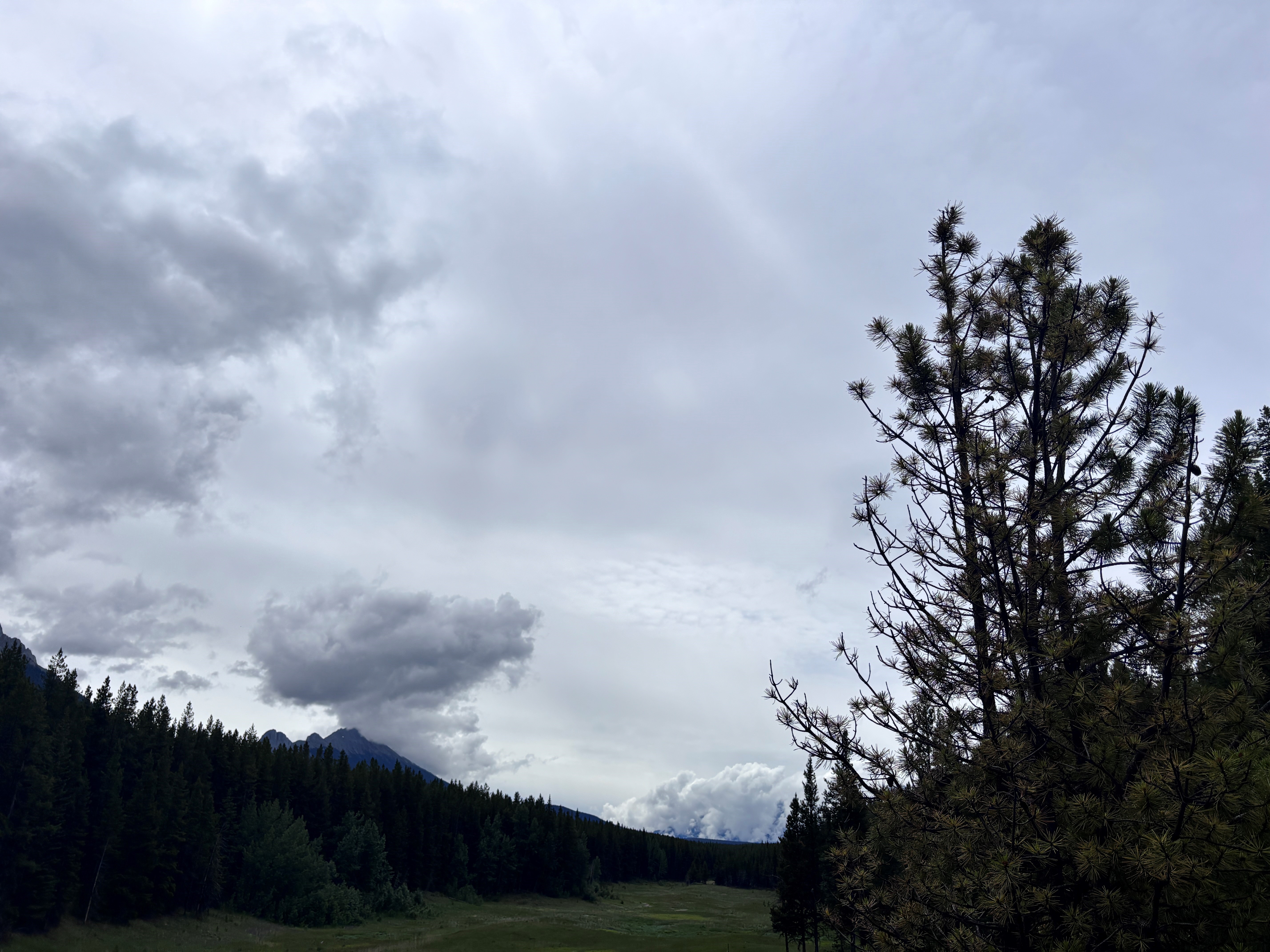 Peter Lougheed
