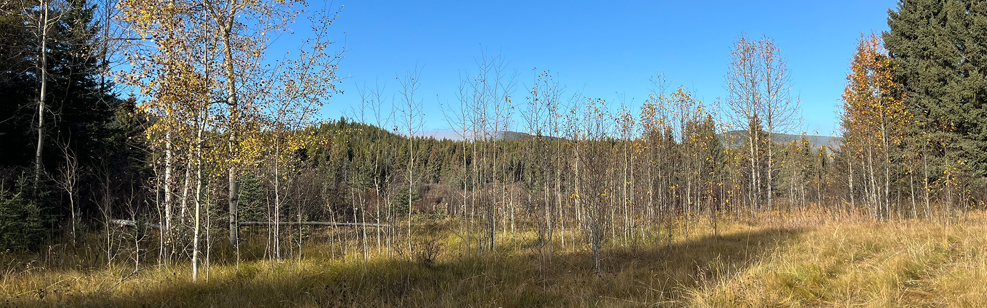 Alberta Parks