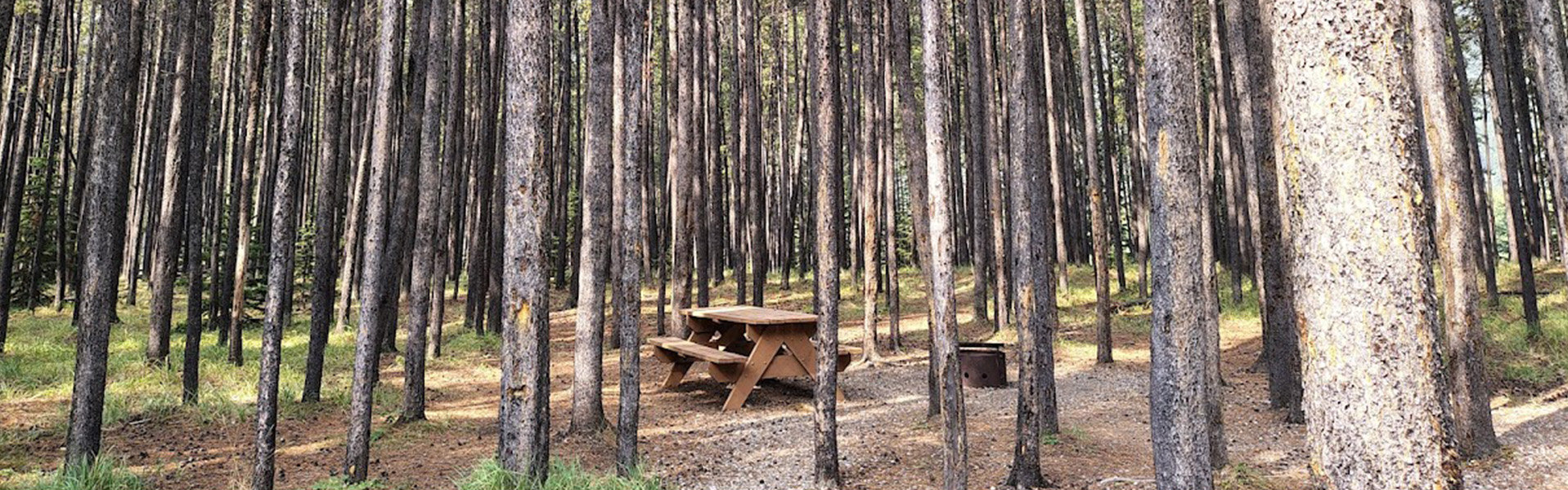Alberta Parks