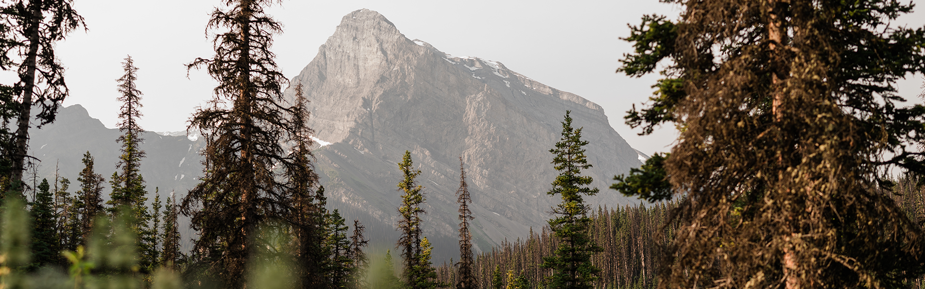 Alberta Parks