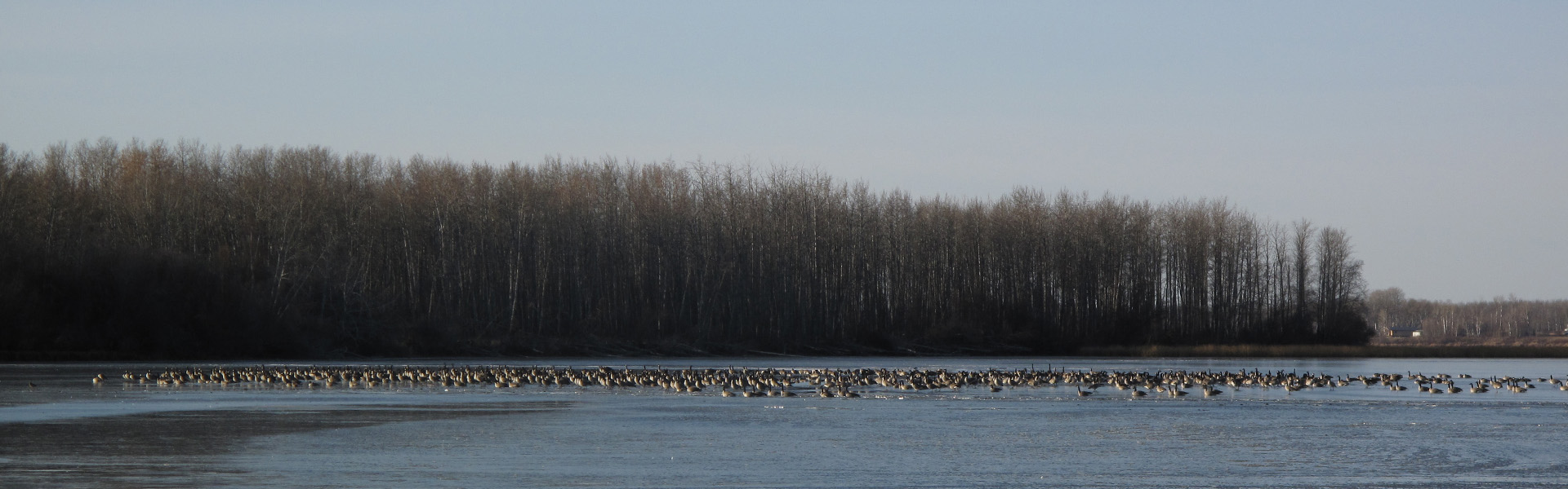 Alberta Parks