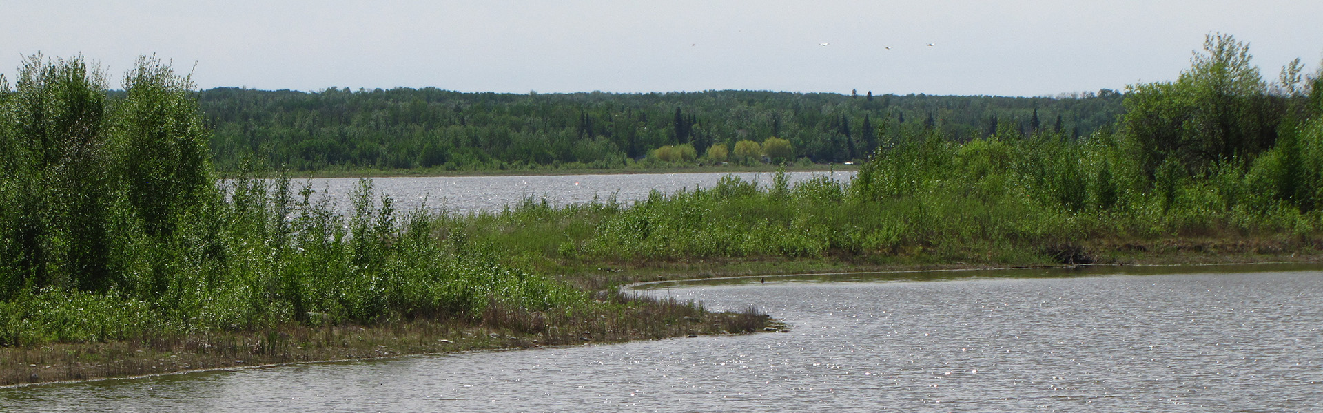 Alberta Parks