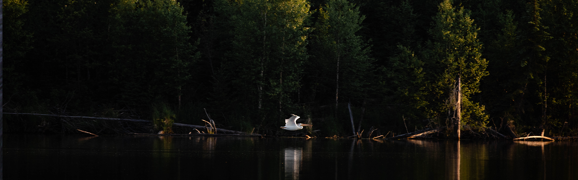 Alberta Parks