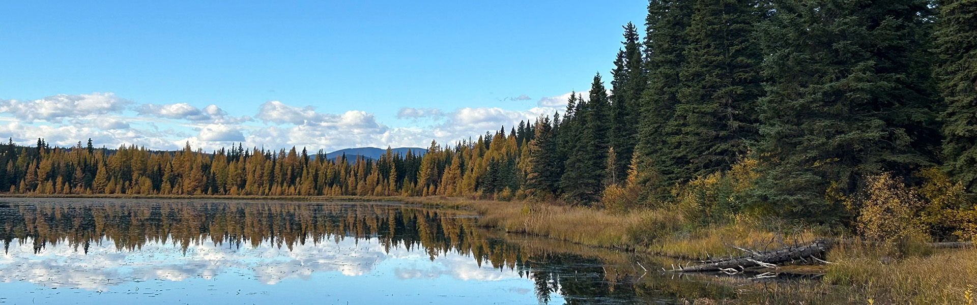 Alberta Parks